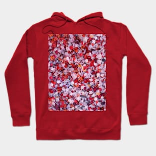 Autumn Leaves red purple orange and white nature pretty delicate Hoodie